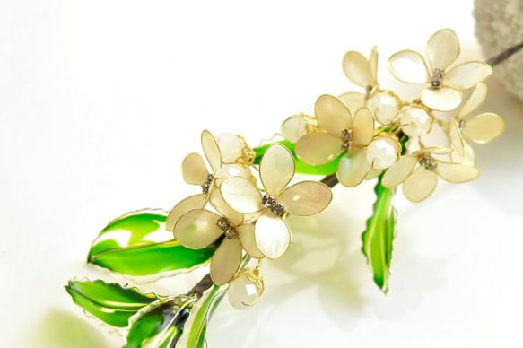 ■受注制作【植物標本 S】銀木犀(ぎんもくせい) 8枚目の画像