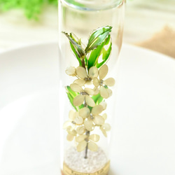 ■受注制作【植物標本 S】銀木犀(ぎんもくせい) 3枚目の画像