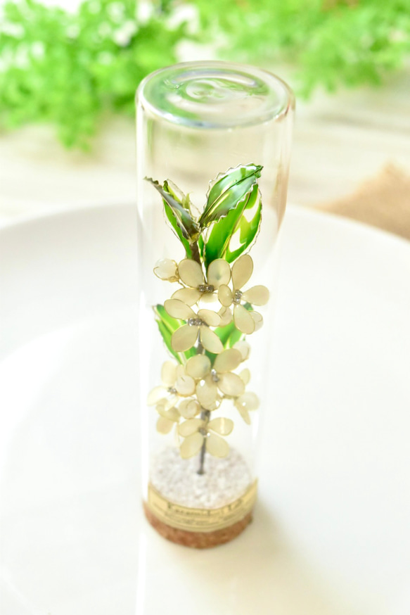 ■受注制作【植物標本 S】銀木犀(ぎんもくせい) 3枚目の画像