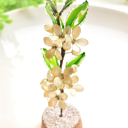 ■受注制作【植物標本 S】銀木犀(ぎんもくせい) 13枚目の画像