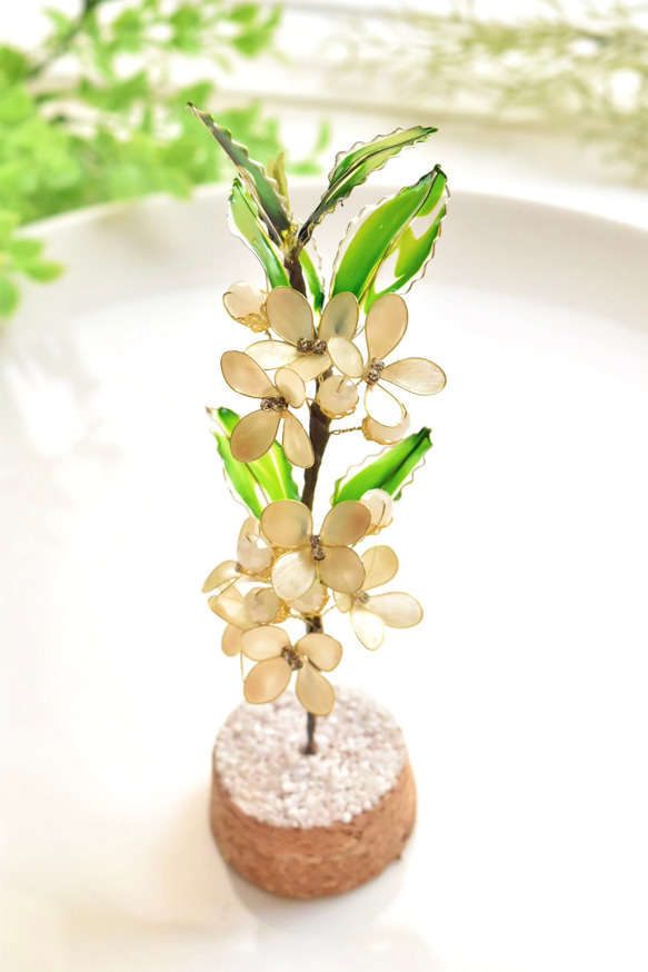 ■受注制作【植物標本 S】銀木犀(ぎんもくせい) 13枚目の画像