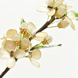 ■受注制作【植物標本 S】銀木犀(ぎんもくせい) 5枚目の画像