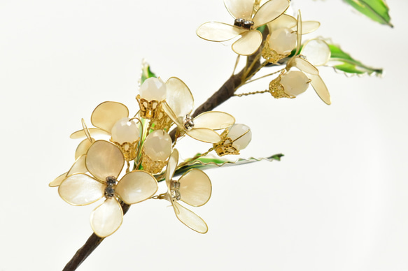 ■受注制作【植物標本 S】銀木犀(ぎんもくせい) 5枚目の画像