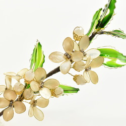 ■受注制作【植物標本 S】銀木犀(ぎんもくせい) 6枚目の画像