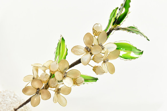 ■受注制作【植物標本 S】銀木犀(ぎんもくせい) 6枚目の画像