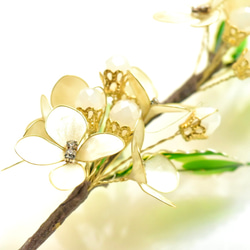 ■受注制作【植物標本 S】銀木犀(ぎんもくせい) 10枚目の画像