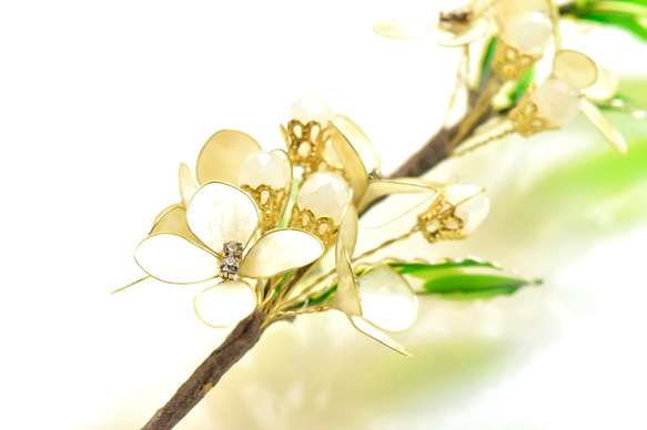 ■受注制作【植物標本 S】銀木犀(ぎんもくせい) 10枚目の画像