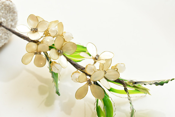 ■受注制作【植物標本 S】銀木犀(ぎんもくせい) 7枚目の画像