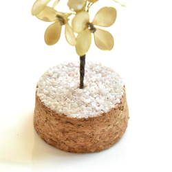 ■受注制作【植物標本 S】銀木犀(ぎんもくせい) 11枚目の画像