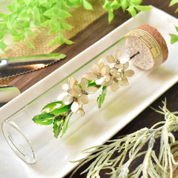 ■受注制作【植物標本 S】銀木犀(ぎんもくせい) 1枚目の画像