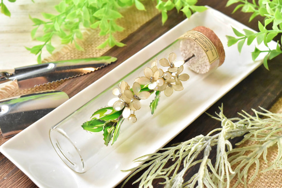 ■受注制作【植物標本 S】銀木犀(ぎんもくせい) 1枚目の画像