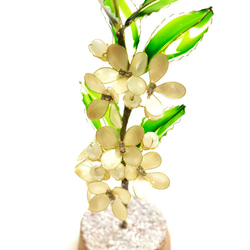 ■受注制作【植物標本 S】銀木犀(ぎんもくせい) 9枚目の画像