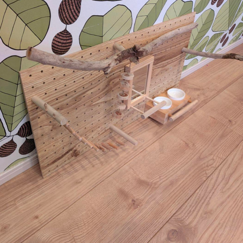 現物1点 壁掛 バードジム ✨ カスタム パンチングボード 流木