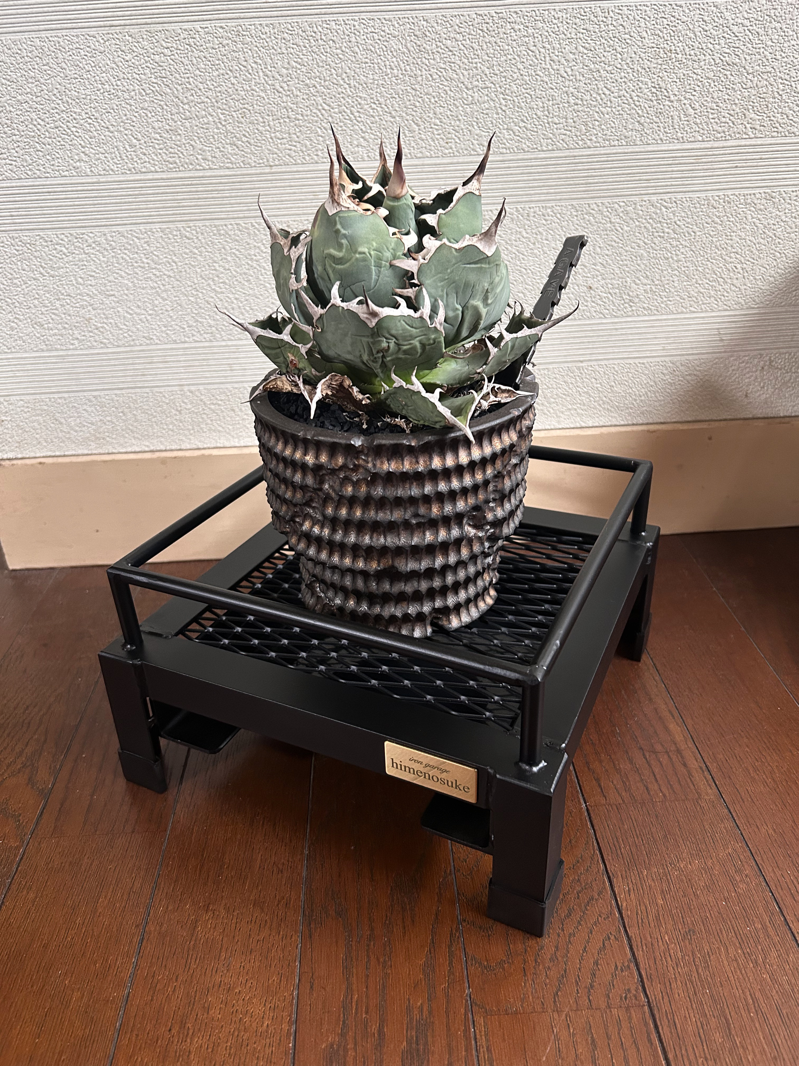 ☆送料込み☆そのまま水やり出来る植物台座　即購入OK 男前　ボタニカルシェルフ　アガベ　塊根　育成管理