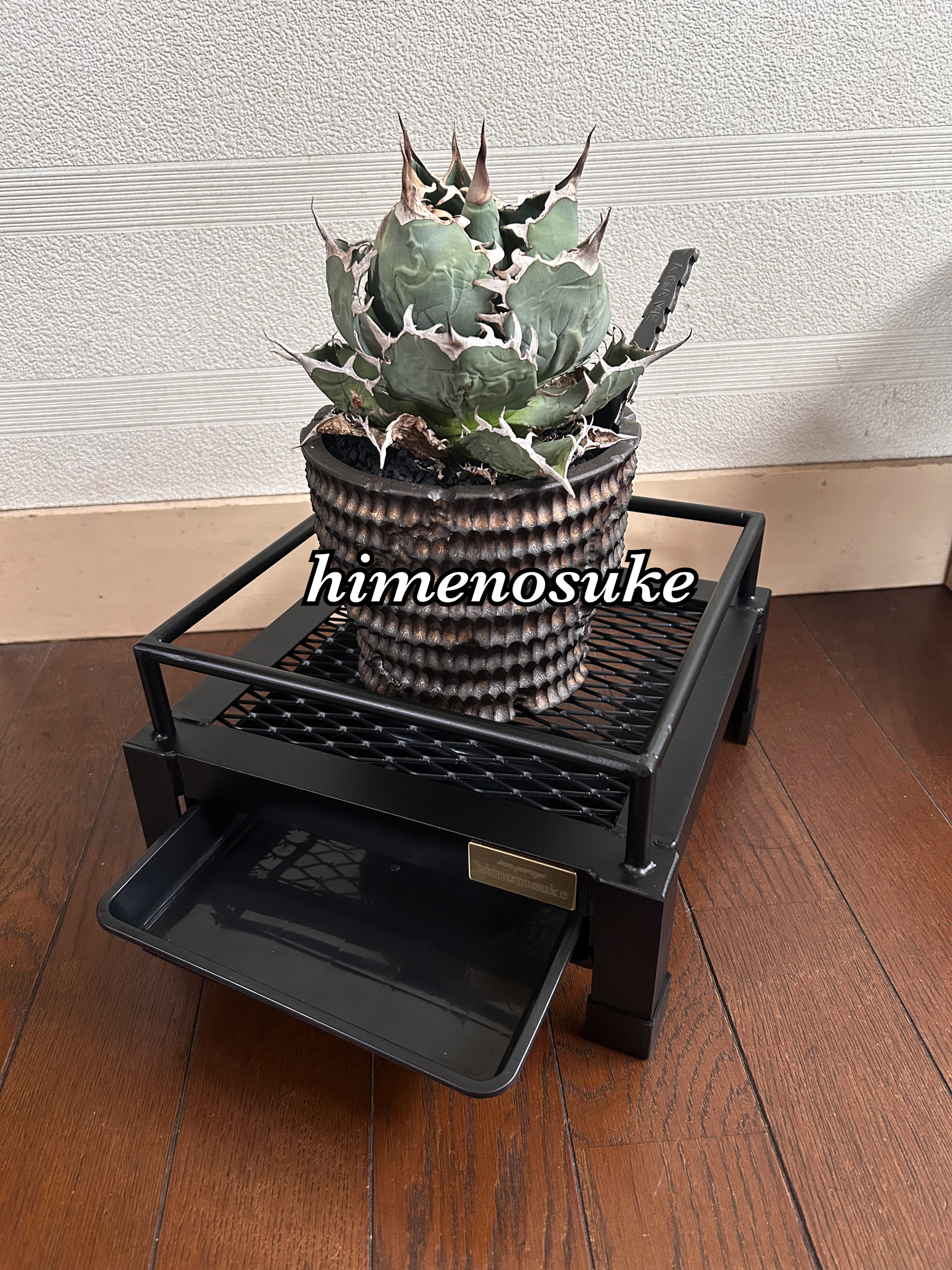 ☆送料込み☆そのまま水やり出来る植物台座　即購入OK 男前　ボタニカルシェルフ　アガベ　塊根　育成管理