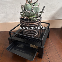 ☆送料込み☆アイアン植物棚　即購入OK ボタニカルシェルフ　アガベ　塊根　什器 ☆送料込み☆アイアンシェルフ即購入OK 植物棚 ボタニカル