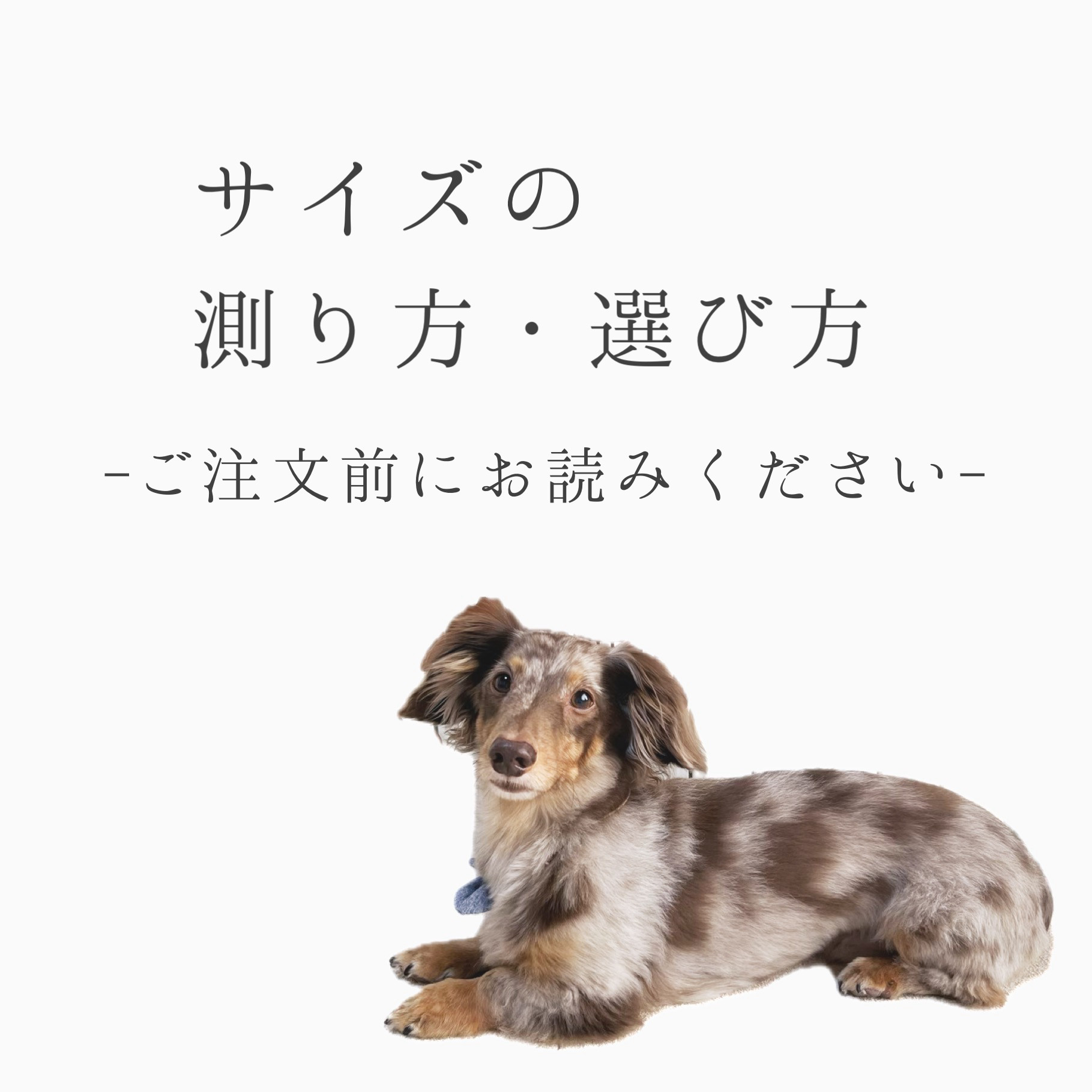 《サイズの測り方・選び方》 -ご注文前にお読みください-
