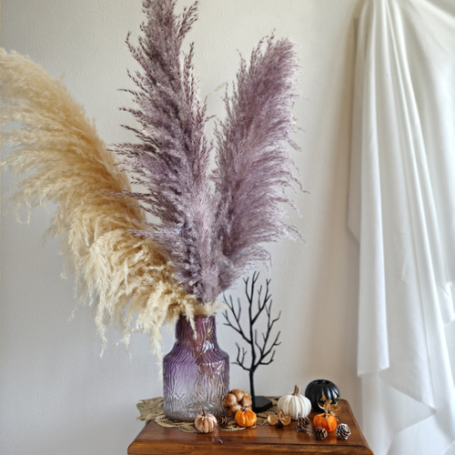 流木　パンパスグラス　リース　ハロウィン　クリスマス　ドライフラワー　スワッグ ハロウィンカラーのパンパスグラス 紫系2本 秋冬新作2025 リース