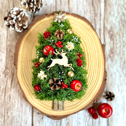 ◆ハーバリウム　167　小さなmerry Christmas *.:。✿*゜¨ ハーバリウム 167 小さなmerry Christmas *.:。*゜¨