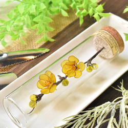 創作盆栽】山茶花（さざんか）絞り模様 アートフラワー 風碧