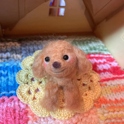 スウェーデンドール ちょい悪ライオン スウェーデンドール ちょい悪ライオン ポシェット付き