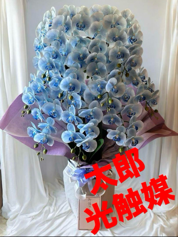 光触媒 人工観葉植物 フェイクグリーン デザインフレッシュ胡蝶蘭