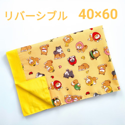 給食セット☆ストライプ星の給食袋＆ランチョンマット(40☓60)／水色