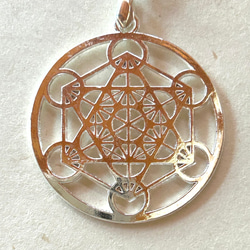 守護の石】神居古潭石『飛龍』☆ブラック☆ペンダントトップ 精