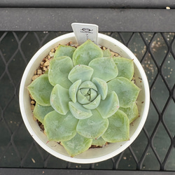 e5ab687b931f7b6b106689bbaa603e