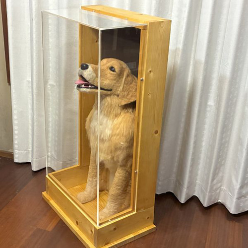大型犬うちの子オーダー】羊毛フェルト等身大レリーフ ケース付