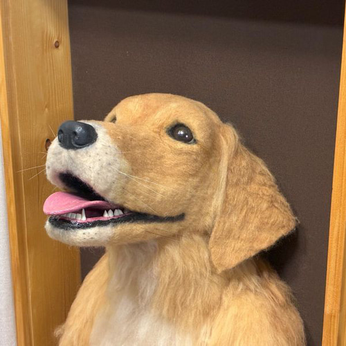 大型犬うちの子オーダー】羊毛フェルト等身大レリーフ ケース付！27万