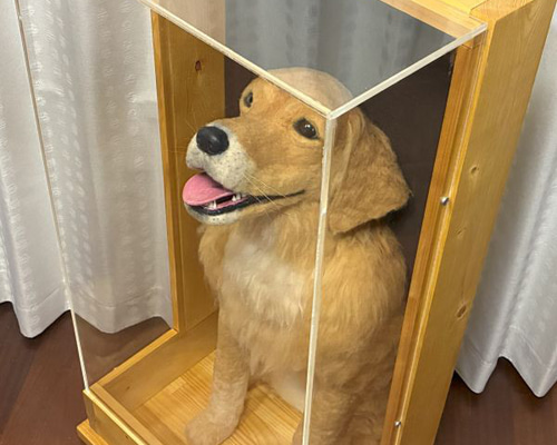 大型犬うちの子オーダー】羊毛フェルト等身大レリーフ ケース付！27万