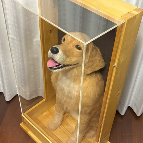 大型犬うちの子オーダー】羊毛フェルト等身大レリーフ ケース付！27万