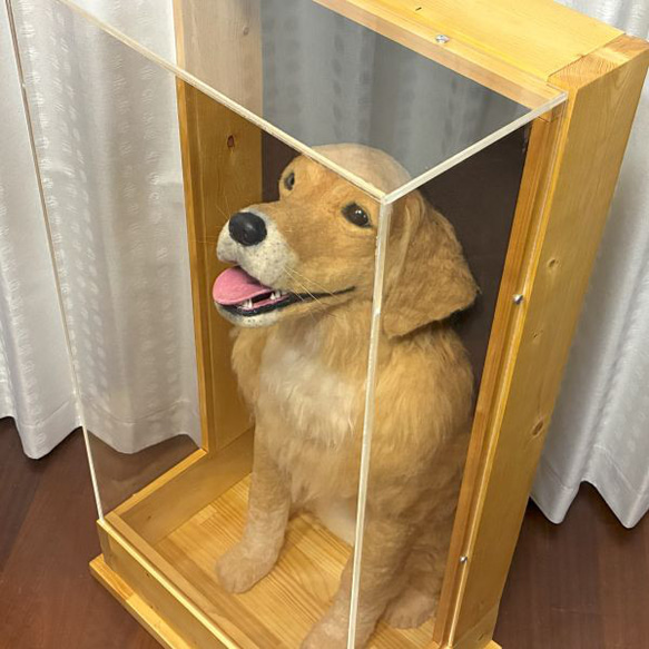 大型犬うちの子オーダー】羊毛フェルト等身大レリーフ ケース付