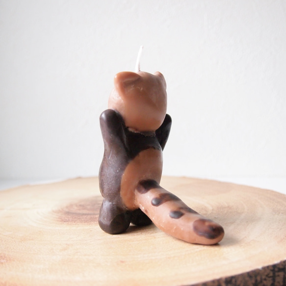 レッサーパンダのろうそく 3枚目の画像