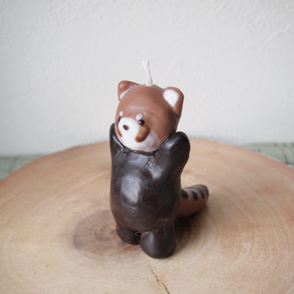 レッサーパンダのろうそく 5枚目の画像