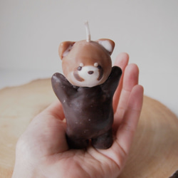 レッサーパンダのろうそく 2枚目の画像