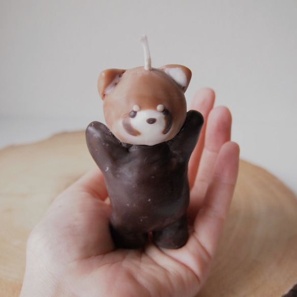 レッサーパンダのろうそく 2枚目の画像