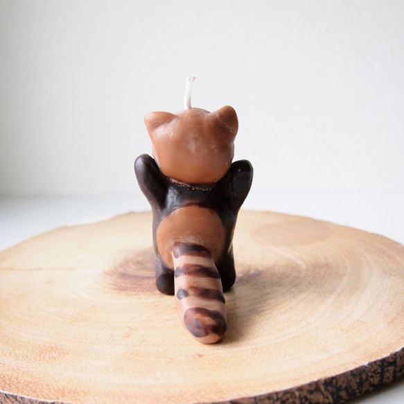 レッサーパンダのろうそく 4枚目の画像