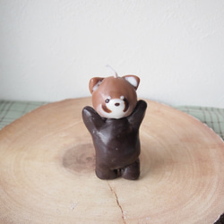 レッサーパンダのろうそく 1枚目の画像