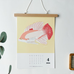 海のいきものカレンダー2026 chippitomu 8枚目の画像