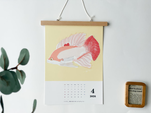 海のいきものカレンダー2026 chippitomu 8枚目の画像