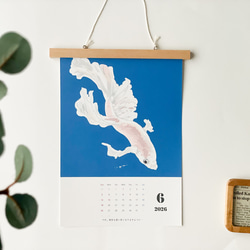 海のいきものカレンダー2026 chippitomu 4枚目の画像