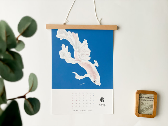 海のいきものカレンダー2026 chippitomu 4枚目の画像