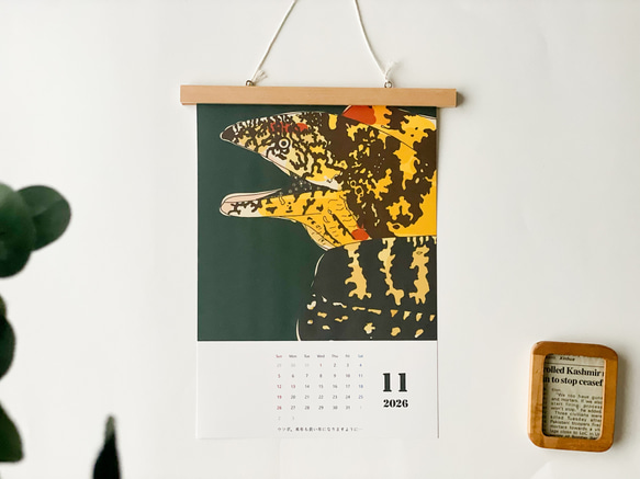 海のいきものカレンダー2026 chippitomu 7枚目の画像