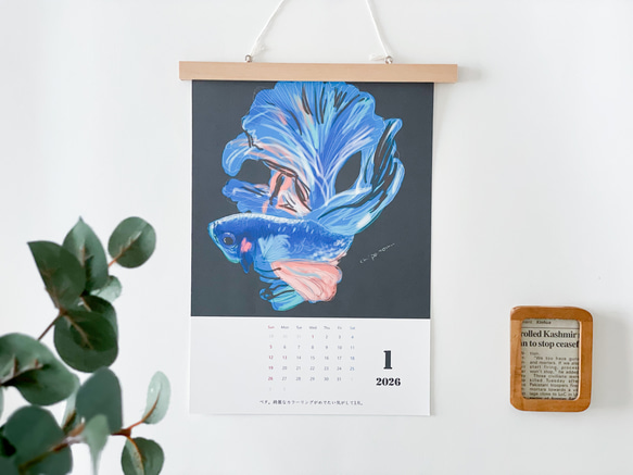 海のいきものカレンダー2026 chippitomu 10枚目の画像