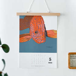 海のいきものカレンダー2026 chippitomu 2枚目の画像