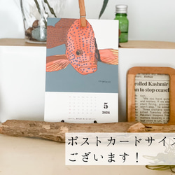 海のいきものカレンダー2026 chippitomu 13枚目の画像