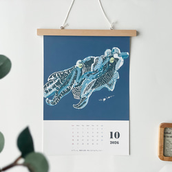 海のいきものカレンダー2026 chippitomu 5枚目の画像