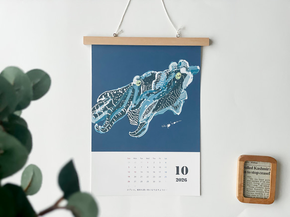 海のいきものカレンダー2026 chippitomu 5枚目の画像